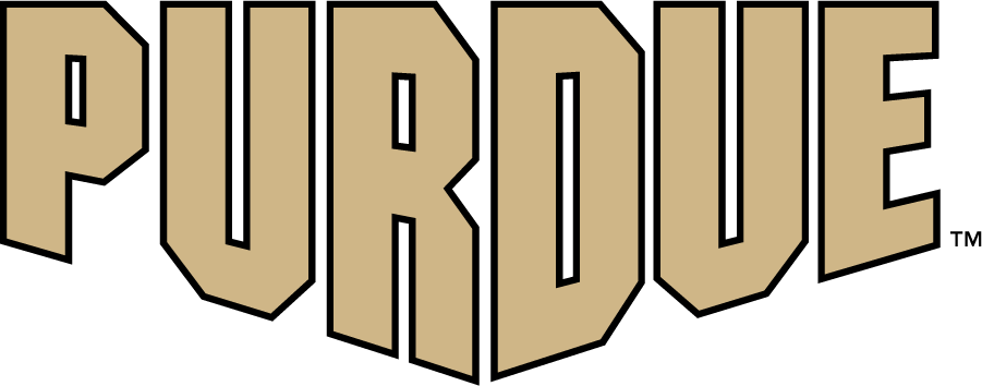 Purdue Boilermakers 2020-Pres Wordmark Logo v2 t shirts iron on transfers